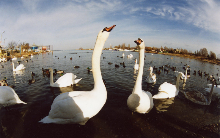 Севастополь-2003. Фото И. Колинько